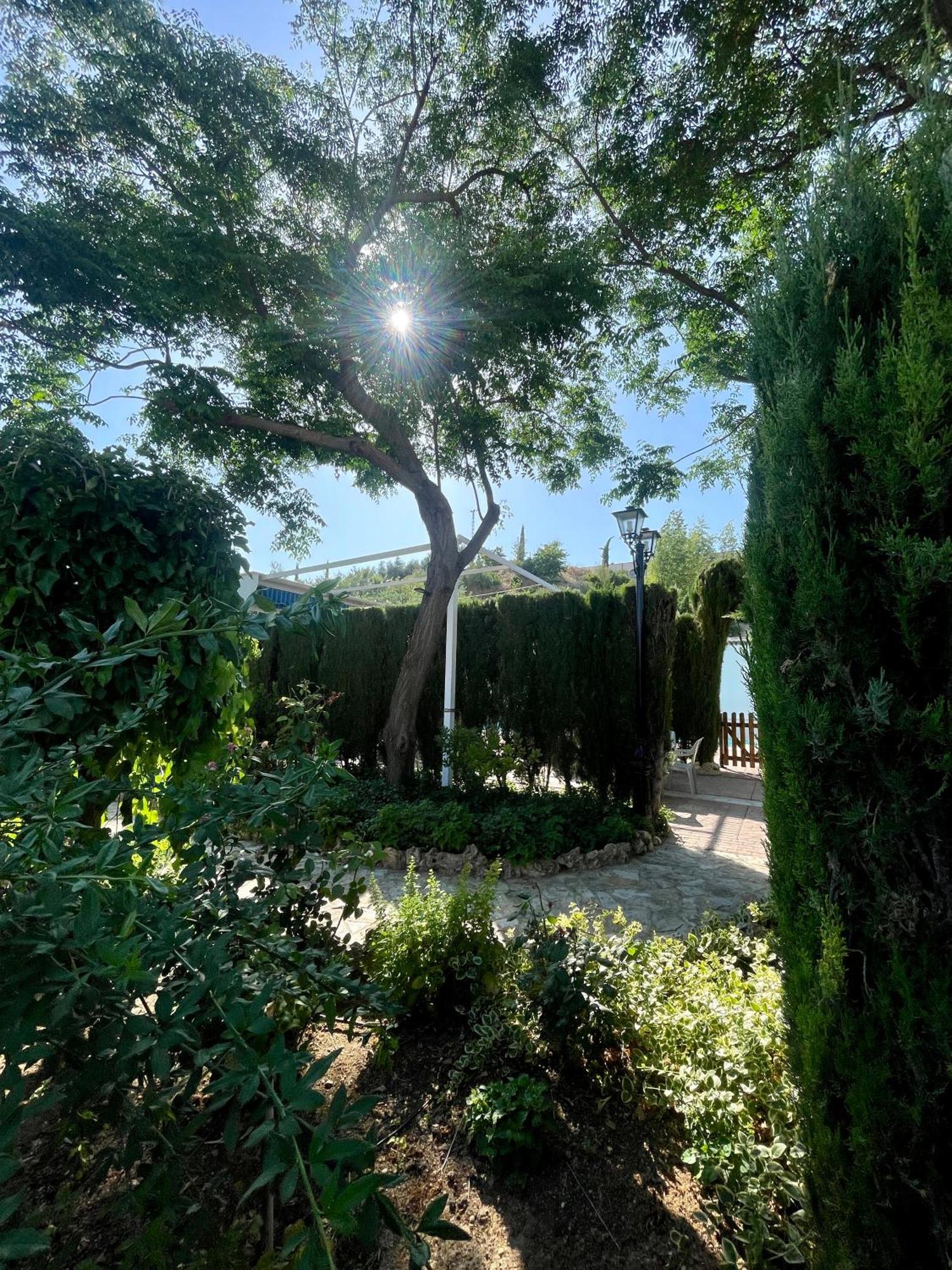 Villa Jardin Priego de Córdoba Dış mekan fotoğraf